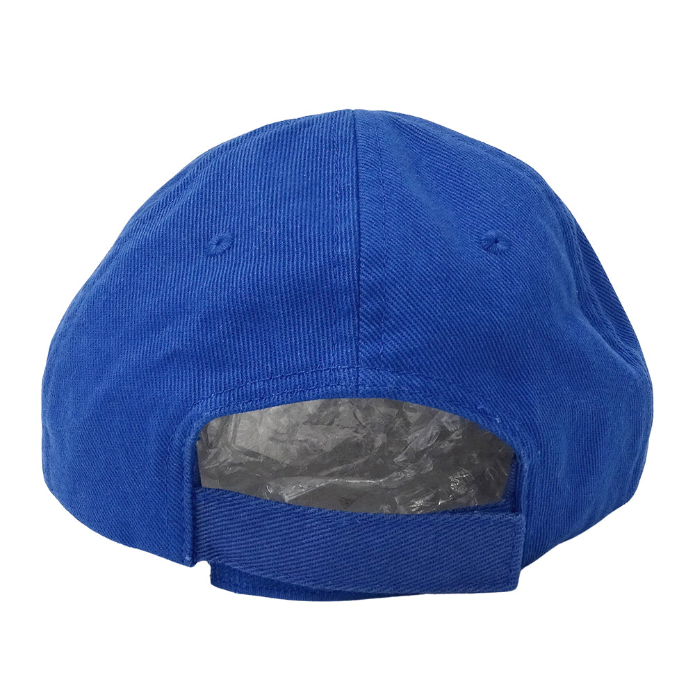 BALENCIAGA バレンシアガ キャップ ブルー コットン レディース メンズ 【中古】