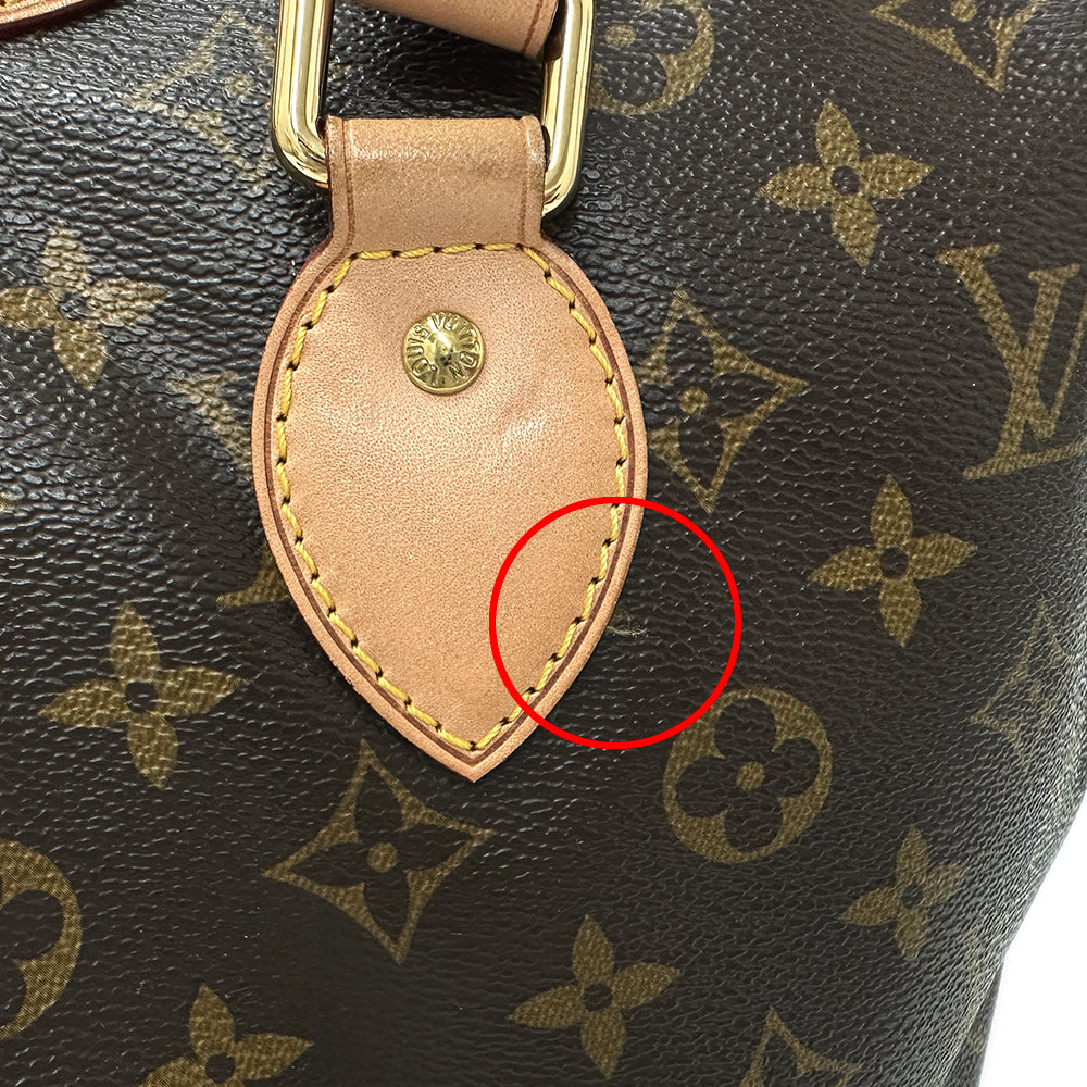 LOUIS VUITTON ルイ・ヴィトン パレルモ PM ハンドバッグ ショルダーバッグ 2way モノグラム M40145 レディース 【中古】