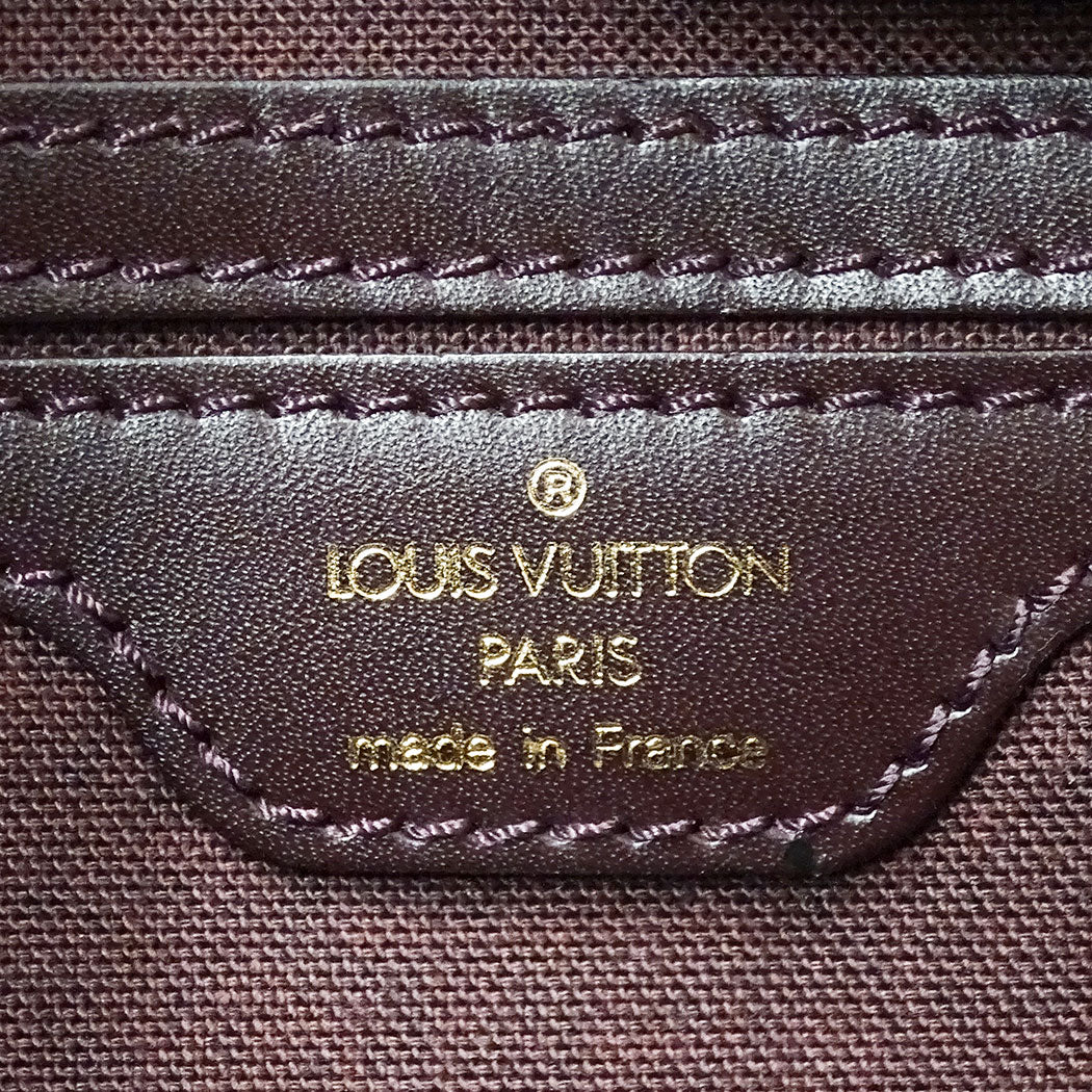 LOUIS VUITTON ルイ・ヴィトン リポーターPM ショルダーバッグ アカジュー M30156 タイガ メンズ 【中古】